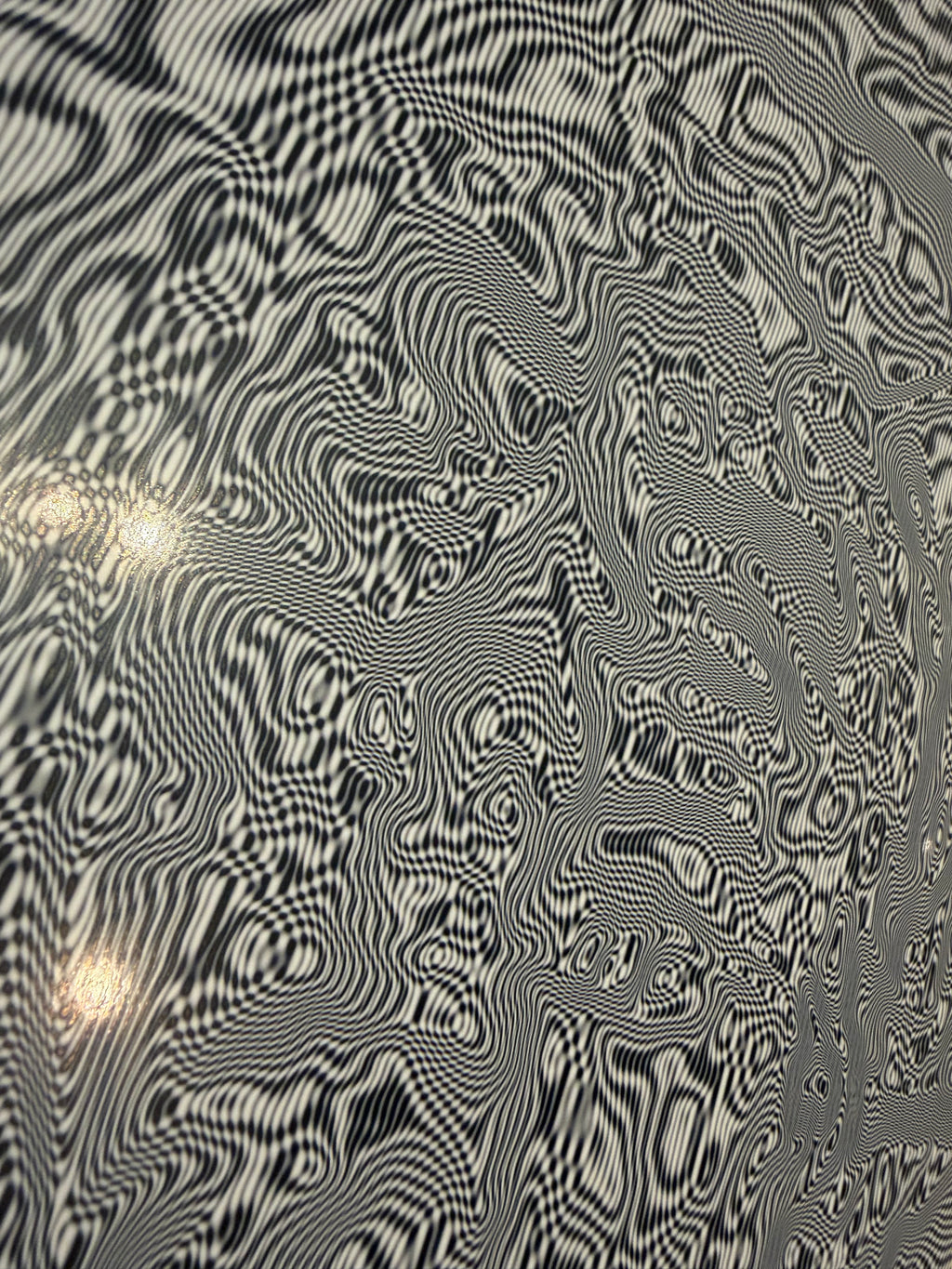 Black and white trippy self portrait