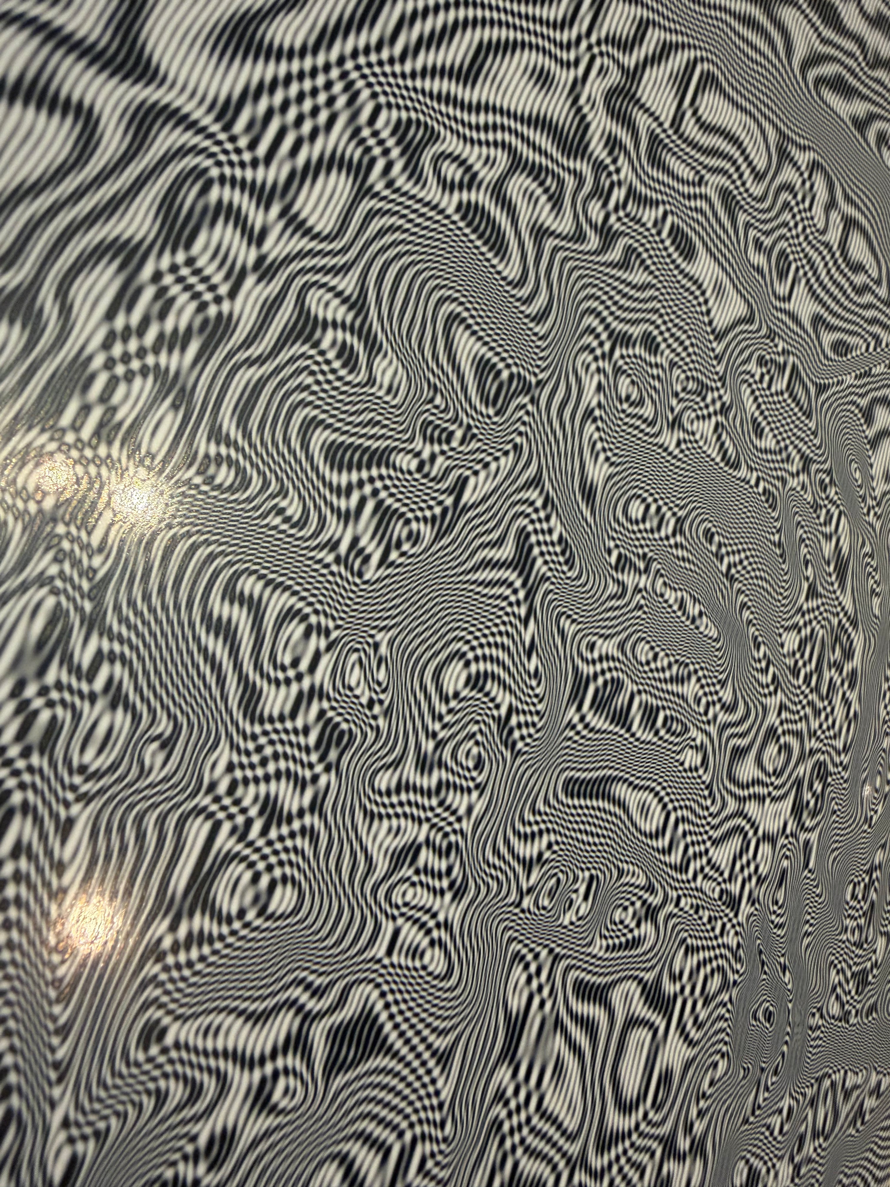 Black and white trippy self portrait