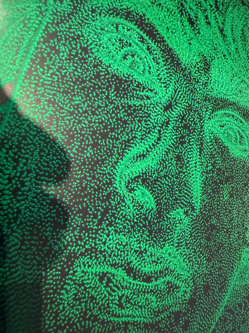 Green on black self portrait